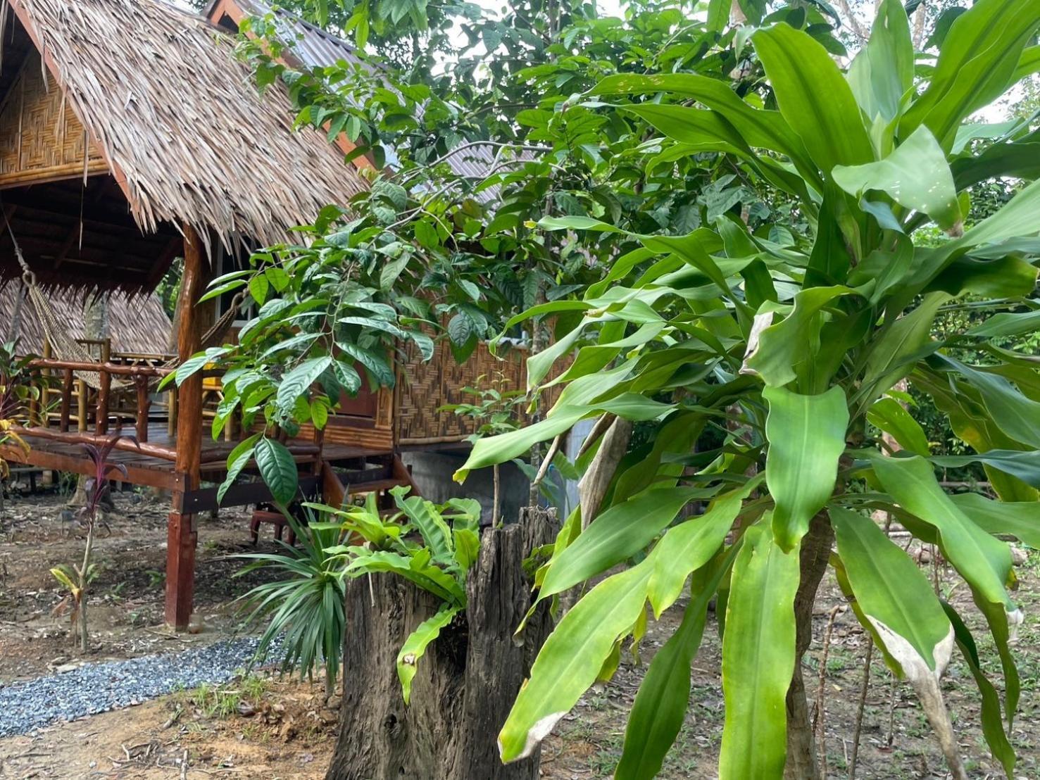 Dahla Lanta Hut Appartement Ko Lanta Buitenkant foto